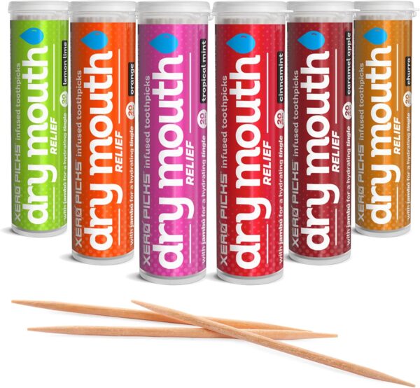Xero Picks Dry Mouth - Infused Flavored Toothpicks for Long Lasting Fresh Breath & Dry Mouth Prevention (Variety 6 Pack)