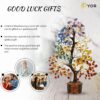 PYOR Chakra Tree, Crystal and Stones, Gemstone Tree, Crystal Gifts, Spiritual Decor, Hippie Room Decor, Meditation Accessories, Crystal Tree, Healing Crystals, Money Tree, Tree of Life, Drop Pendant