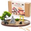 Zen Garden for Desk 13x8in – Japanese Meditation Kit with Buddha, Bonsai Tree, Natural Sand, Stones, Bamboo Rakes & Accessories – Mini Zen Garden for Office Relaxation & Decor by Roanle