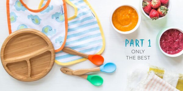 The Big Book of Organic Baby Food: Baby Purées, Finger Foods, and Toddler Meals For Every Stage (Organic Foods for Baby and Toddler)