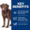 Hill's Science Diet Perfect Weight, Adult 1-5, Large Breed Weight Management Support, Dry Dog Food, Chicken Recipe, 25 lb Bag