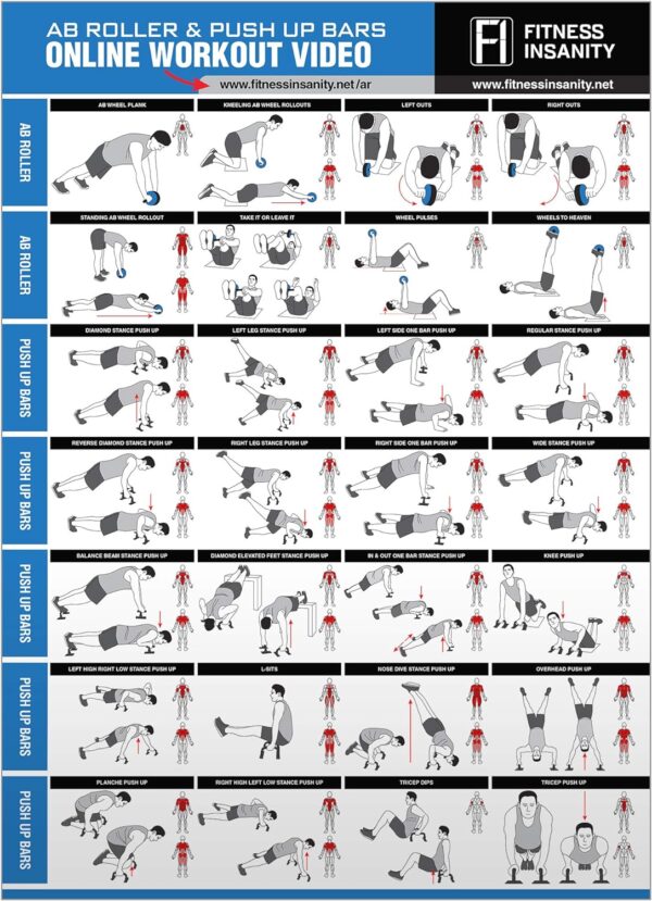 Ab Roller Wheel, 6-in-1 Ab Roller Kit with Knee Mat, Push-Up Bars, Resistance Bands, Workout Poster, Workout Guide, Perfect Home Gym Equipment for Men Women Abdominal Exercise