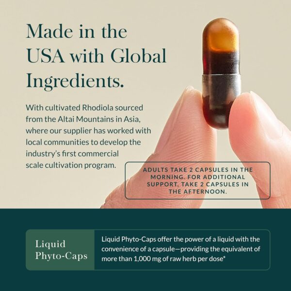 Gaia Herbs Adrenal Health Daily Support - with Ashwagandha, Holy Basil & Schisandra - Herbal Supplement to Help Maintain Healthy Energy and Stress Levels - 60 Liquid Phyto-Capsules (60 Count)