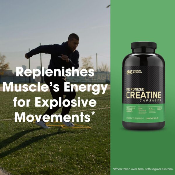 Optimum Nutrition Micronized Creatine Monohydrate Capsules, Keto Friendly, 2500mg, 300 Capsules (Packaging May Vary)