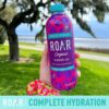 Roar Organic Electrolyte Infusions - USDA Organic - Blueberry Acai - with Antioxidants, B Vitamins, Low-Calorie, Low-Sugar, Low-Carb, Coconut Water Infused Beverage 18 Fl Oz (Pack of 12)