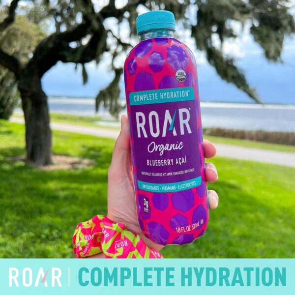 Roar Organic Electrolyte Infusions - USDA Organic - Blueberry Acai - with Antioxidants, B Vitamins, Low-Calorie, Low-Sugar, Low-Carb, Coconut Water Infused Beverage 18 Fl Oz (Pack of 12)
