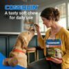 Nutramax Cosequin Joint Health Supplement for Dogs - With Glucosamine, Chondroitin, MSM, and Omega-3's, 60 Soft Chews