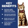 Hill's Science Diet Light, Adult 1-6, Weight Management Support, Dry Cat Food, Chicken Recipe, 4 lb Bag