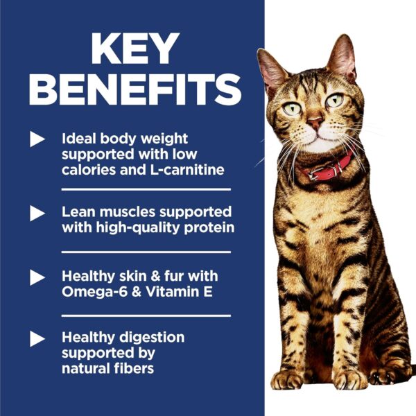 Hill's Science Diet Light, Adult 1-6, Weight Management Support, Dry Cat Food, Chicken Recipe, 4 lb Bag
