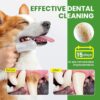 Pet Teeth Cleaning Wipes for Dogs & Cats, Pet Dental Finger Wipes for Dogs, No-Rinse Dog Toothbrush Toothpaste to Reduce Plaque & Tartar, Disposable Dog Tooth Brushing Kit - Mint Flavor - 50 Count