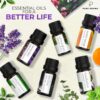 Essential Oils Set Pure Aroma - Top 6 Aromatherapy Oils Gift Set for Diffusers, Home Care, Candel Making Scents, Fragrance -Eucalyptus, Lavender, Lemongrass, Sweet Orange, Peppermint, Tea Tree (10ml)