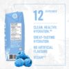 BioSteel Sports Drink, Great Tasting Hydration with 5 Essential Electrolytes, Blue Frost Flavor, 16.7 Fluid Ounces, 12-Pack