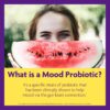 InnovixLabs Mood Probiotic Supplement - Clinically Studied Digestive & Mood Probiotics for Women and Men with Lactobacillus helveticus Rosell-52ND & Bifidobacterium longum Rosell-175, 60 Capsules