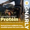 81z8IsgpwjL._AC_SL1500_.jpg Gnarly Nutrition Whey Protein Powder - Grass Fed Whey Powder, NSF Sport Certified, Smooth Taste, Sports Nutrition, Muscle Repair, 25g Protein - Chocolate, 32 Oz