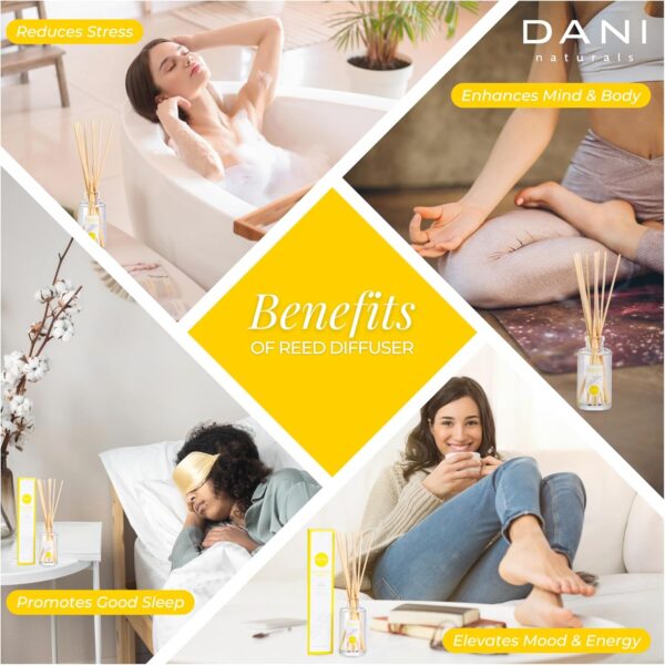 Natural Reed Diffuser Set by DANI Naturals - Warm Sandalwood Vanilla Scent - Aromatherapy Essentials Oils - Alcohol Free - 10 Diffuser Sticks - 3.5 Ounce Glass Bottle
