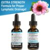Lymphatic Drainage Supplements Drops - Organic Lymphatic Support Liquid Drops Cleanse with Echinacea for Lymph System Support Supplement, Lymph Node Detox Cleanse System Drainage - 1oz Vegan Non-GMO