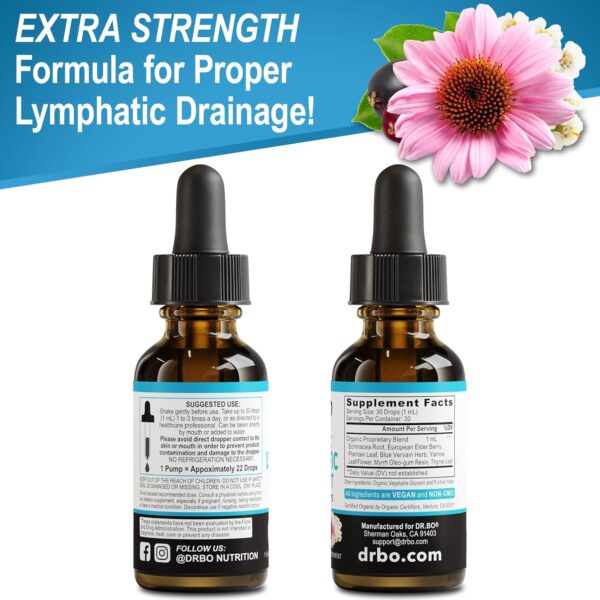 Lymphatic Drainage Supplements Drops - Organic Lymphatic Support Liquid Drops Cleanse with Echinacea for Lymph System Support Supplement, Lymph Node Detox Cleanse System Drainage - 1oz Vegan Non-GMO