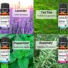 PURA D'OR Organic Sweet16 Essential Oils Set - 16x 10mL Wood Box Aromatherapy Gift Set - 100% Pure Therapeutic Grade for Relaxation and Wellness (Lavender, Rosemary, Turmeric, Ylang Ylang & More)