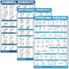 QuickFit 3 Pack - Dumbbell Workouts + Bodyweight Exercises + Stretching Routine Poster Set - Set of 3 Workout Charts (Laminated, 18" x 24")