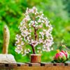 YATSKIA Rose Quartz Tree of Life - Chakra Tree, Wire Bonsai - Feng Shui Tree, Money Tree Crystal for Positive Energy - Home Office Decor, Spiritual Gift, Meditation Decor Accessories