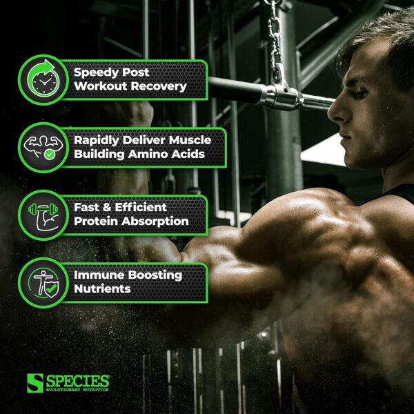 Species Nutrition Isolyze Whey Protein Powder, 100% Whey Isolate Protein, Whey Protein for Muscle Building, 27.5g Protein Per Scoop, No Sugar & Low Fat Protein (Cinnamon Donut, 44 Servings)