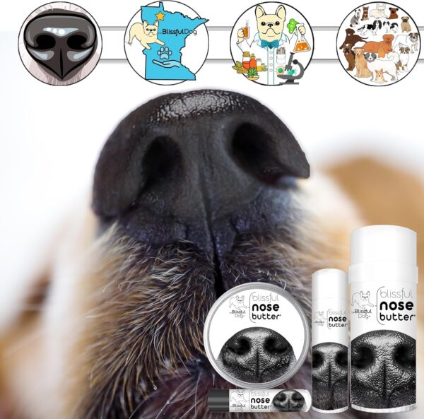 The Blissful Dog Every Dog Unscented Nose Butter