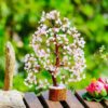 YATSKIA Rose Quartz Tree of Life - Chakra Tree, Wire Bonsai - Feng Shui Tree, Money Tree Crystal for Positive Energy - Home Office Decor, Spiritual Gift, Meditation Decor Accessories