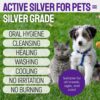 SILVER GRADE Teeth & Gum Spray for Pets – Dental Formula for Dog Mouth Rinse & Cat Mouth Care – Dog Fresh Breath, Clean Teeth, No Pain Or Burning – Plaque and Tartar Remover (4 Oz)