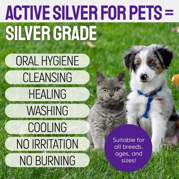 SILVER GRADE Teeth & Gum Spray for Pets – Dental Formula for Dog Mouth Rinse & Cat Mouth Care – Dog Fresh Breath, Clean Teeth, No Pain Or Burning – Plaque and Tartar Remover (4 Oz)