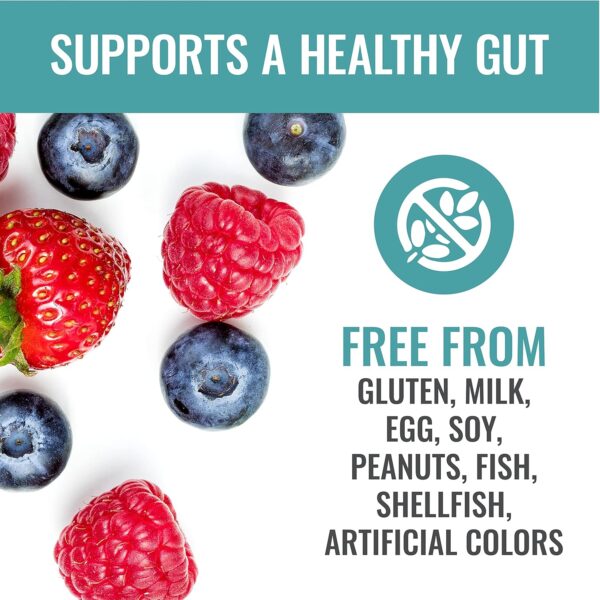 Fiber Advance Weight Management Gummies | 100% Plant Based Fiber for Digestive Wellness and Gut Health | Chromium Picolinate for Weight Management Support, 90 Count