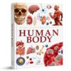Knowledge Encyclopedia: Human Body (Knowledge Encyclopedia For Children)