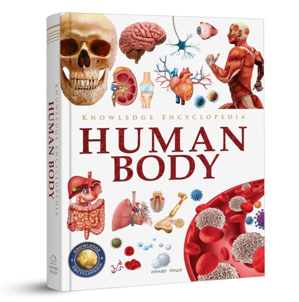 Knowledge Encyclopedia: Human Body (Knowledge Encyclopedia For Children)
