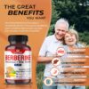 Premium Berberine 12,200MG with Cinnamon, Milk Thistle *USA Made & Test* Promotes Liver Function, Gut Health, Immunity (150 Count (Pack of 1))