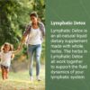 Earth Harmony Lymphatic Drainage Drops, Lymph Detox - Supplement with Soursop, Cat's Claw Bark, Astragalus, Wormwood, Lymph Node Detox, Lymphatic Support Cleanse (2 Oz)
