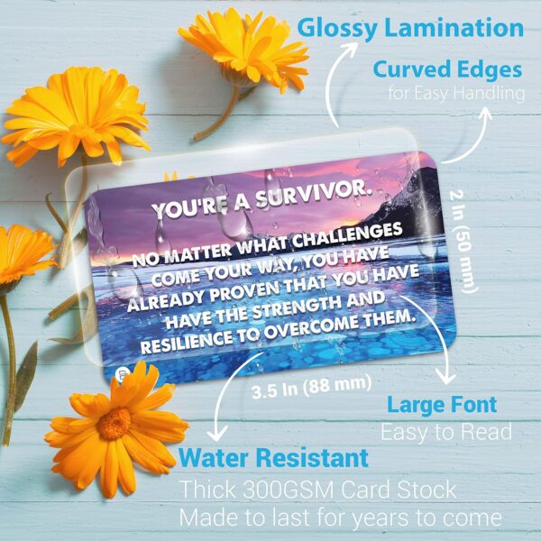 Empowerment in Recovery: 70 Encouragement Cards – Addiction, PTSD, Mental Health, Counseling, Therapy, Detox, Depression, 12 Step Groups – Affirmations for Overcoming Challenges & Relapse Prevention