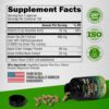 Green Tea Extract Capsules with Green Coffee Beans & Apple Cider Vinegar - Energy & Metabolism Support - Green Tea Supplement 50% EGCG - 20:1 Natural Extract - for Men & Women - 120 Vegan Capsules