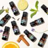 Cliganic Organic Cedarwood Essential Oil - 100% Pure Natural Undiluted, for Aromatherapy Diffuser | Non-GMO Verified (Packaging May Vary)