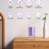 Essential Oil Diffuser Waterless Aromatherapy Diffusers for Home Large Room, Bedroom, Car, Office, Desk, Battery Operated, Small Diffuser for Pure Scent, 100mL Capacity, AN9 (Lavender)