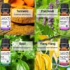 PURA D'OR Organic Sweet16 Essential Oils Set - 16x 10mL Wood Box Aromatherapy Gift Set - 100% Pure Therapeutic Grade for Relaxation and Wellness (Lavender, Rosemary, Turmeric, Ylang Ylang & More)