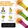 BALA Enzyme Hydration & Sugar-Free Electrolyte Drink Mix - Turmeric, Bromelain, Papain - Recovery, Immunity, Mobility - Variety Pack 0.25oz (12 Count)