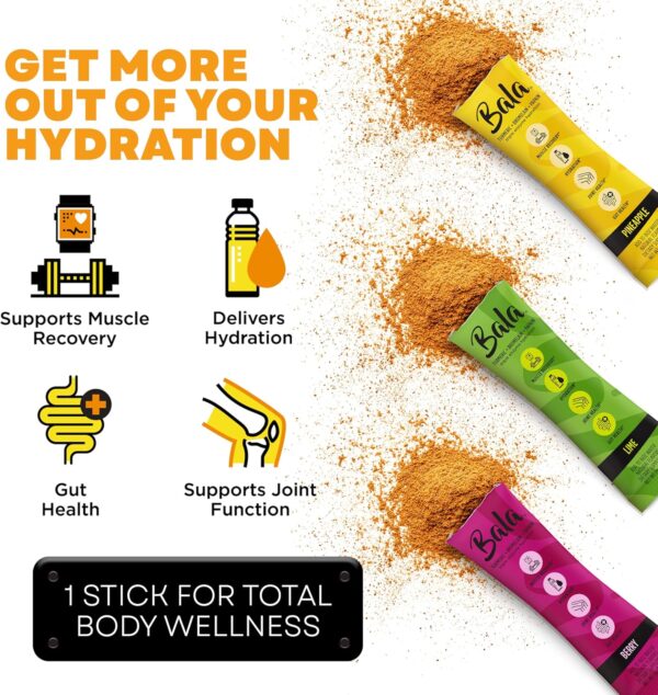 BALA Enzyme Hydration & Sugar-Free Electrolyte Drink Mix - Turmeric, Bromelain, Papain - Recovery, Immunity, Mobility - Variety Pack 0.25oz (12 Count)