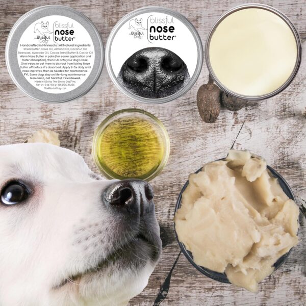The Blissful Dog Every Dog Unscented Nose Butter