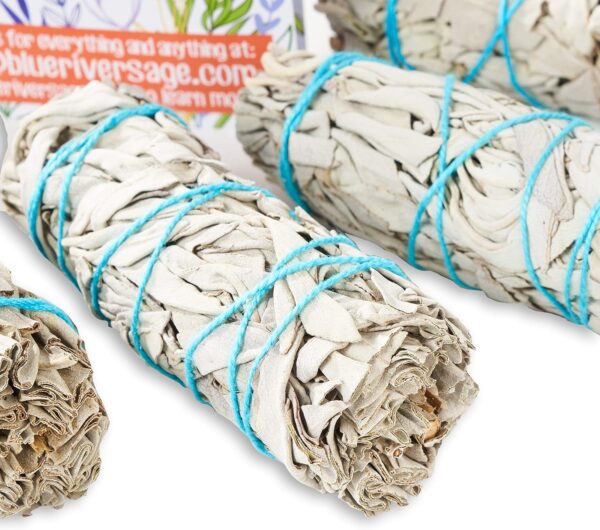 Blue River Sage Smudging & Energy Cleansing Kit with Amethyst, White Sage, Palo Santo, Abalone Shell, Stand & Guide (Regular)