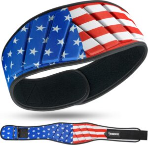 DMoose Fitness Neoprene Weight Lifting Belt - Adjustable 6" Gym Support for Stability & Lumbar Support - Sweat Resistant Weightlifting Belt for Men & Women for Squats, Deadlifts & Bench Presses