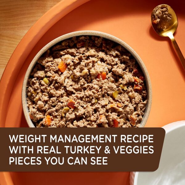 91pEZZee2SL._AC_SL1500_.jpg Rachael Ray Nutrish Weight Management Wet Dog Food, Real Turkey & Pumpkin, 13 Ounce Can (Pack of 12)