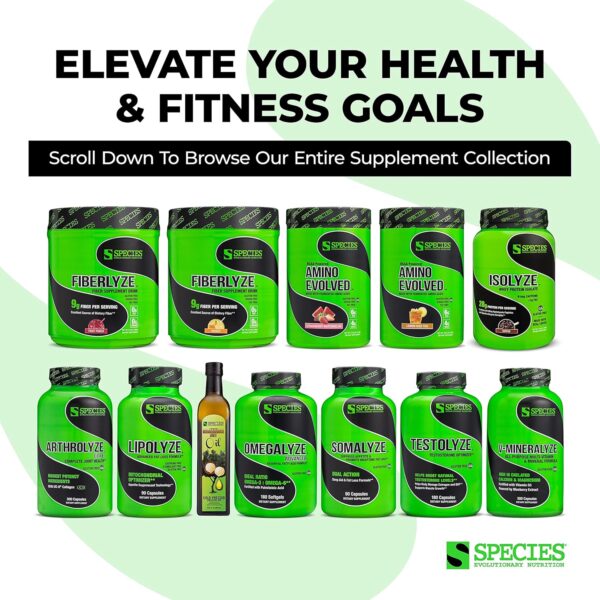 Species Nutrition Isolyze Whey Protein Powder, 100% Whey Isolate Protein, Whey Protein for Muscle Building, 27.5g Protein Per Scoop, No Sugar & Low Fat Protein (Cinnamon Donut, 44 Servings)