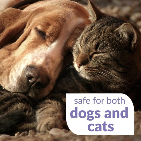 Dental Fresh Advanced Plaque and Tartar Water Additive, 17oz – Dog Teeth Cleaning Formula to Freshen Breath and Improve Cat & Dog Dental Care