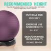 EasyBalance Exercise Ball, Yoga Ball, with Base & Pump Set, 65cm, Amethyst Purple