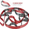 SANKUU Yoga Straps Stretching Strap with 12 Loops Workout Poster, Straps for Stretching Physical Therapy Equipment Long Stretch Out Bands for Exercise, Pilates and Gymnastics for Women Men